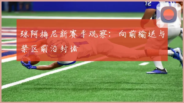 琼阿梅尼新赛季观察：向前输送与禁区前沿封堵